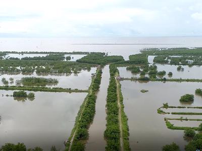 Hải Phòng gia hạn sử dụng đất 24 tháng đối với khu đầm nuôi trồng thuỷ sản hơn 300ha