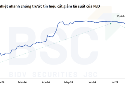 Tỷ giá đã tác động thế nào tới doanh nghiệp niêm yết trong nửa đầu năm 2024? 