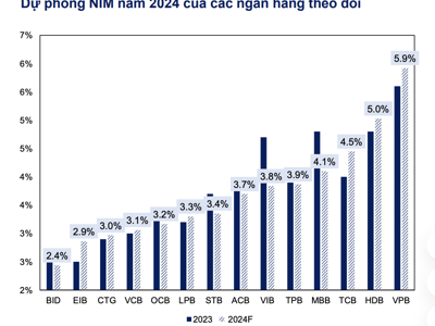 NIM và chất lượng tài sản suy giảm, vì sao cổ phiếu ngân hàng vẫn được khuyến nghị đầu tư? 