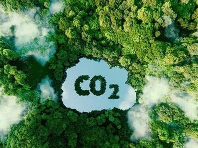 Kết nối thị trường carbon ASEAN, xây dựng hệ sinh thái carbon thống nhất và mạnh mẽ