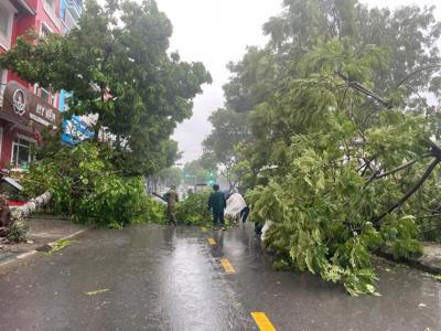 Bão số 3 hoành hành dữ dội, nhiều tỉnh mất điện, 4 người thiệt mạng, hàng nghìn cây xanh bị đổ…