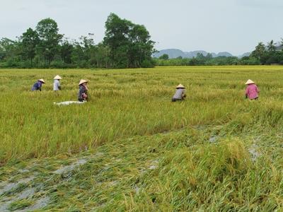 Thanh Hóa chi thêm gần 17 tỷ khắc phục thiệt hại do thiên tai