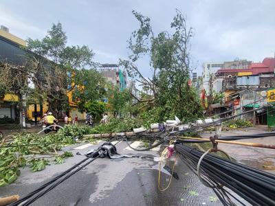 Hải Phòng chỉ đạo khẩn trương khôi phục điện nước, hệ thống viễn thông sau bão số 3
