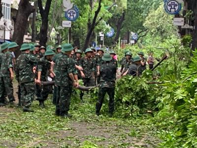 Hà Nội tập trung lực lượng, xử lý cây xanh bị đổ, gãy