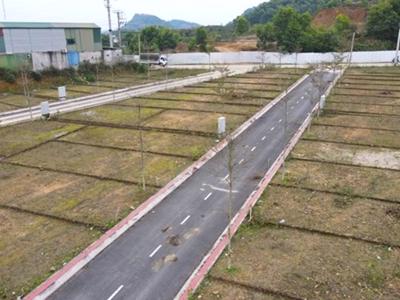 TP.HCM: Sẽ bỏ điều kiện quy hoạch khi tách thửa đất
