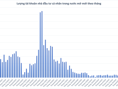 Số tài khoản chứng khoán mở mới tiếp tục lập kỷ lục 2 năm, thanh khoản vẫn yếu