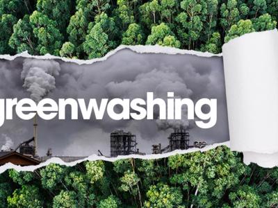 Greenwashing làm chậm quá trình phát triển bền vững