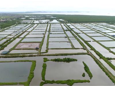 Hải Phòng: Hết hạn hợp tác dân không trả đầm, yêu cầu doanh nghiệp bồi thường hàng trăm tỷ