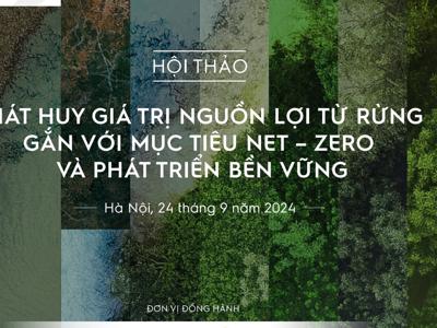 Cơ hội đầu tư phát triển rừng từ cơ chế tạo tín chỉ carbon