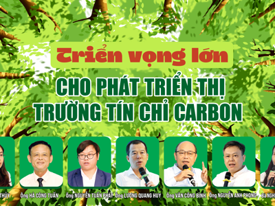 Triển vọng lớn cho phát triển thị trường tín chỉ carbon 