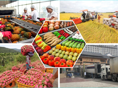 Agriculture, forestry, and fisheries exports surge