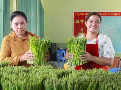 Chương trình Tự hào Nông dân Việt Nam 2024: Tôn vinh những nông dân có thành tích xuất sắc