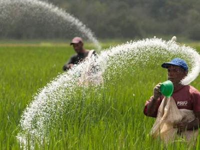 Một doanh nghiệp phân bón được dự báo lãi thêm hàng trăm tỷ nếu Luật thuế VAT được thông qua vào tháng 10