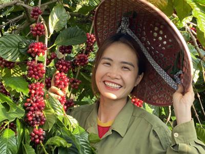 Những hạt cà phê trọn vị đắng cay ngọt bùi của cô nông dân Đắk Lắk bỏ phố về quê