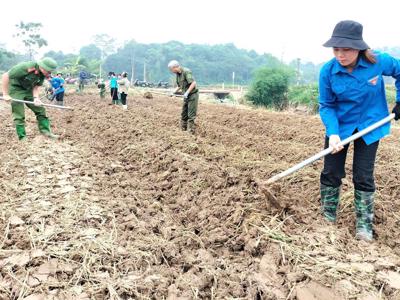 Thủ tướng yêu cầu ngành nông nghiệp đẩy nhanh phục hồi sản xuất