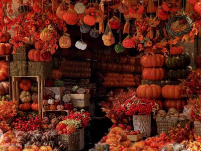 Thị trường trang trí Halloween: Thận trọng với hàng giá rẻ không rõ xuất xứ