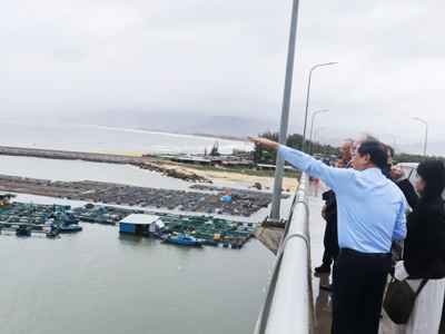 Binh Dinh welcomes German Group's $4.6 bln offshore wind power project