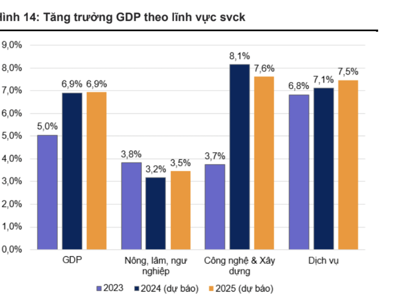 GDP bình quân đầu người Việt Nam sẽ đạt 5.000 USD vào năm 2025, đánh dấu giai đoạn bùng nổ tiêu dùng?