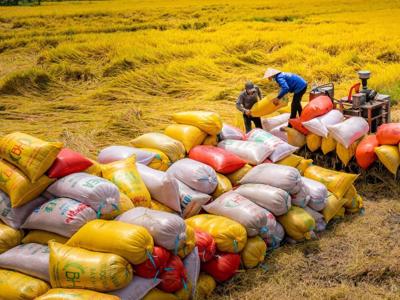 La Nina mạnh lên từ tháng 9, nông sản xuất khẩu của Việt Nam được lợi nhờ khan hiếm nguồn cung, giá tăng 