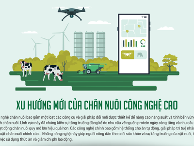 Xu hướng mới của chăn nuôi công nghệ cao