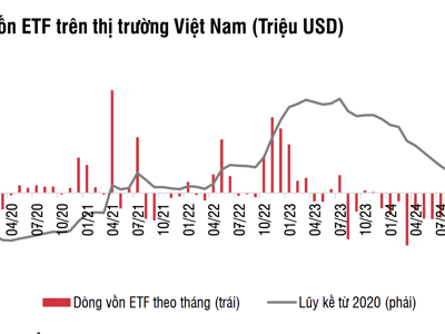 Các quỹ ETF rút ròng gần 1 tỷ USD trong 10 tháng của năm 2024 