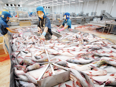 Khơi thông “điểm nghẽn” hỗ trợ doanh nghiệp tận dụng FTA