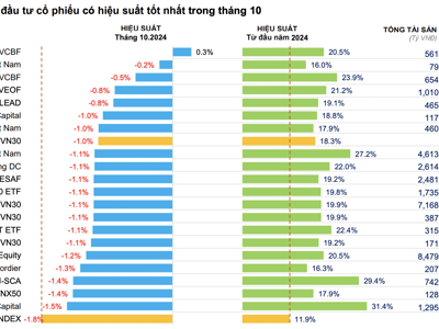 Hàng chục quỹ cổ phiếu hiệu suất âm trong tháng 10, giảm mạnh hơn cả VN-Index