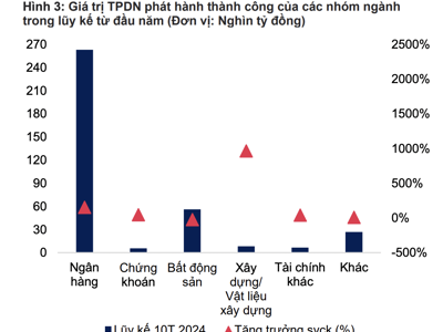 Nhóm Xây dựng bất ngờ đẩy mạnh phát hành trái phiếu, tăng gần 1000% trong 10 tháng năm 2024