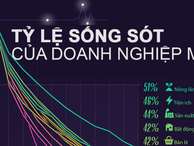 Tỷ lệ sống sót của doanh nghiệp tư nhân Mỹ sau 1 thập kỷ