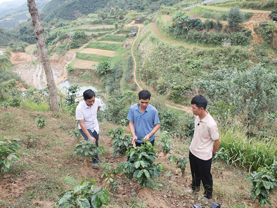 Tây Bắc phát triển nông nghiệp sinh thái - tuần hoàn 