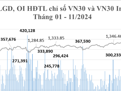 Tháng 11, hợp đồng tương lai Trái phiếu chính phủ tiếp tục không có giao dịch