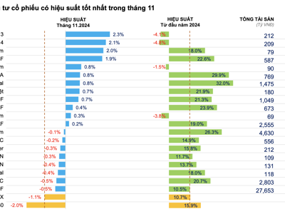 Hầu hết các quỹ cổ phiếu thua lỗ trong tháng 11, nhóm quy mô lớn tăng tỷ trọng tiền mặt 