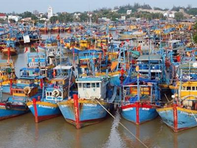 Quyết liệt chống đánh bắt IUU, số lượng tàu cá “3 không” giảm mạnh