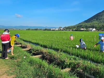 Chương trình IPHM góp phần nâng cao sức khoẻ cây trồng và bảo vệ môi trường