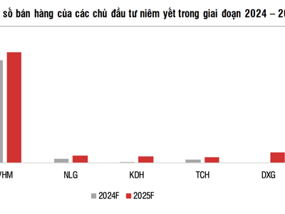 Thất bại trong năm 2024, cổ phiếu bất động sản sẽ lội ngược dòng năm nay nhờ lợi nhuận bật tăng hai chữ số? 