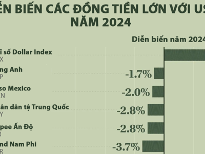 Biến động tỷ giá các đồng tiền lớn so với USD năm 2024