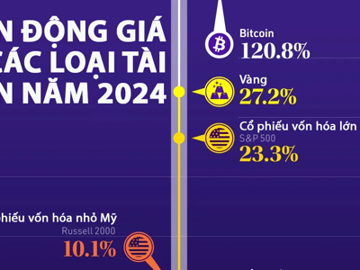 Biến động giá các loại tài sản trong năm 2024