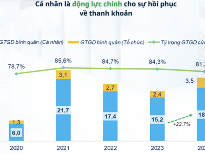 FiinTrade: Nhà đầu tư cá nhân mua ròng gần 78.000 tỷ năm 2024 nhưng phần lớn "đu đỉnh"