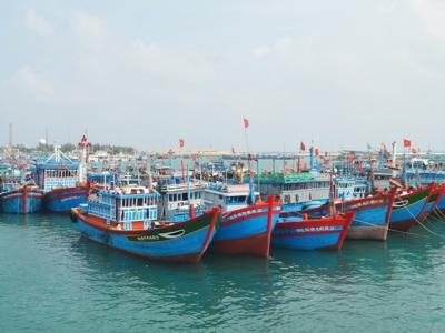 Quyết liệt chống khai thác IUU và gỡ thẻ vàng EC
