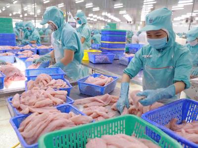 Vietnam surpasses Japan as 5th largest seafood exporter to Singapore