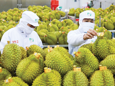 Hành trình dựng xây thương hiệu nông sản Việt thành danh trên đất Úc