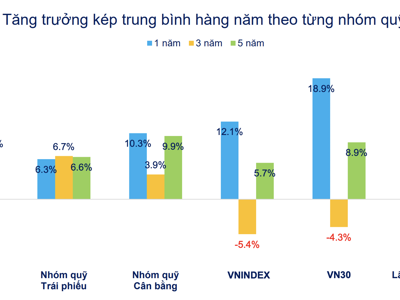 Bị rút ròng kỷ lục trong năm 2024, nhiều quỹ cổ phiếu hiệu suất vẫn tăng gấp đôi, gấp ba VN-Index 