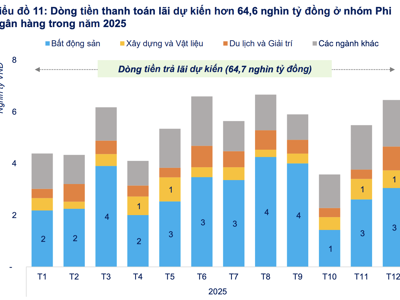 Năm 2025, ngân hàng và doanh nghiệp sẽ phải trả hơn 97 nghìn tỷ đồng tiền lãi trái phiếu 