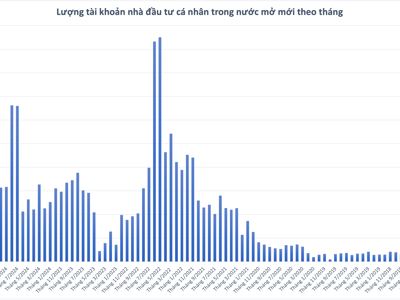 81.000 tài khoản chứng khoán mở mới trong tháng 1/2025, thấp nhất gần 2 năm 