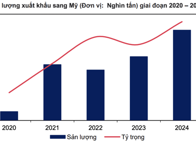 Thuế xuất khẩu thép Việt Nam sang Mỹ lên tới 36%, doanh nghiệp có thể phải giảm giá bán để giữ thị phần 