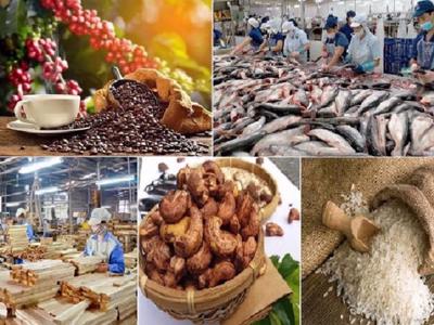 Xuất khẩu nông sản sang EU: Tình trạng bị cảnh báo, thu hồi và tiêu huỷ tăng nhanh