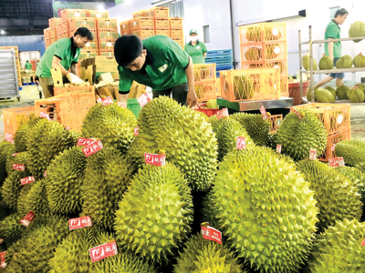Xuất khẩu nông sản 2025: Mục tiêu tăng trưởng gặp nhiều thách thức