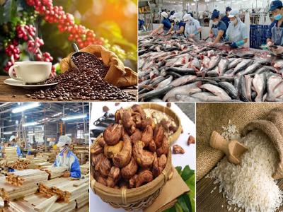 Xuất khẩu nông lâm, thủy sản trở lại đà tăng trưởng 
