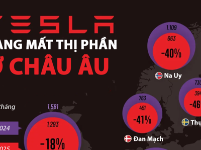 Tesla mất một nửa thị phần ở châu Âu chỉ trong một năm