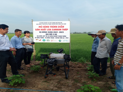 Nâng cao thu nhập chuỗi giá trị, phát triển bền vững nông nghiệp từ đổi mới sáng tạo xanh